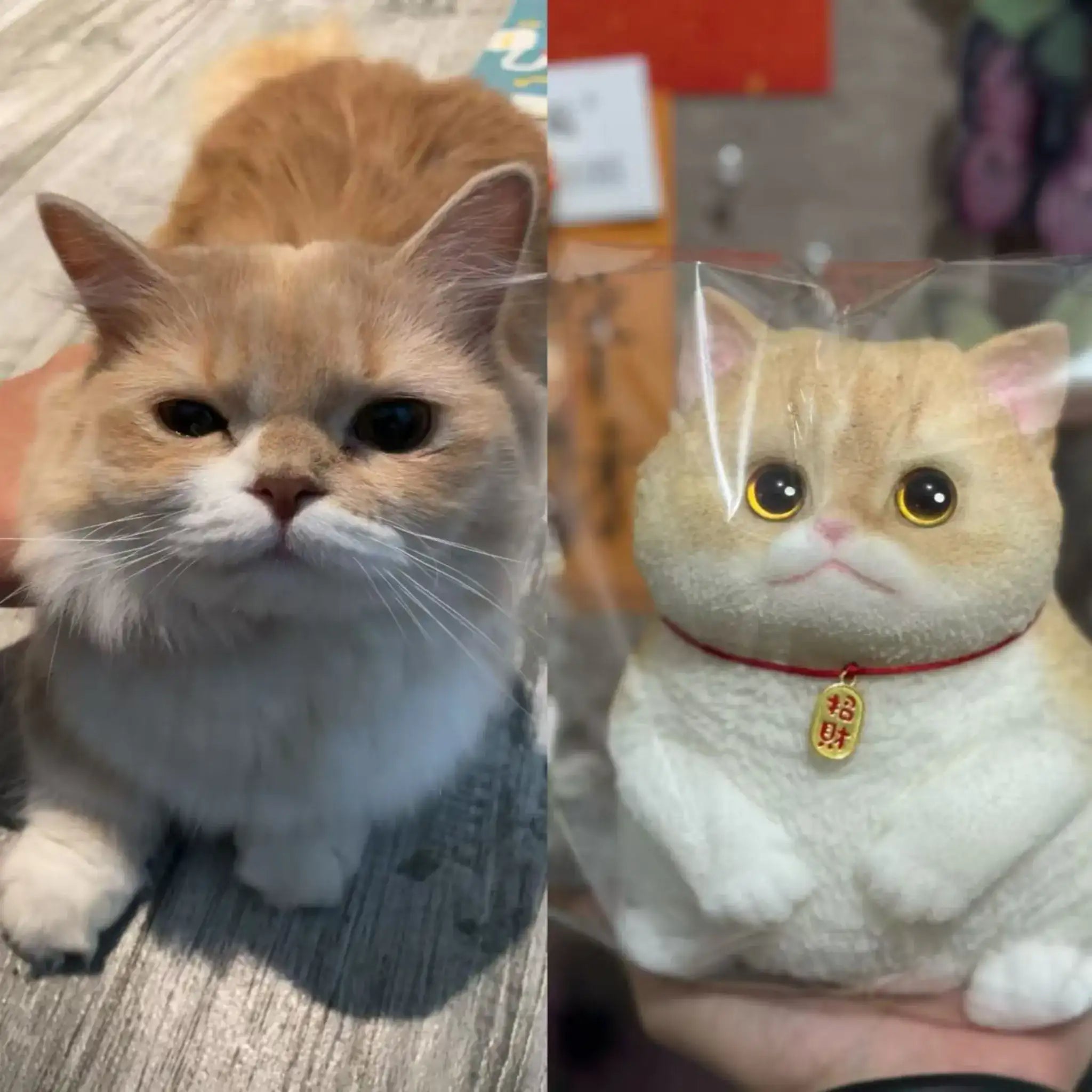 Deluxe Cat Design Kit – Paint, Decorate & Personalize Your Own Cat Figure